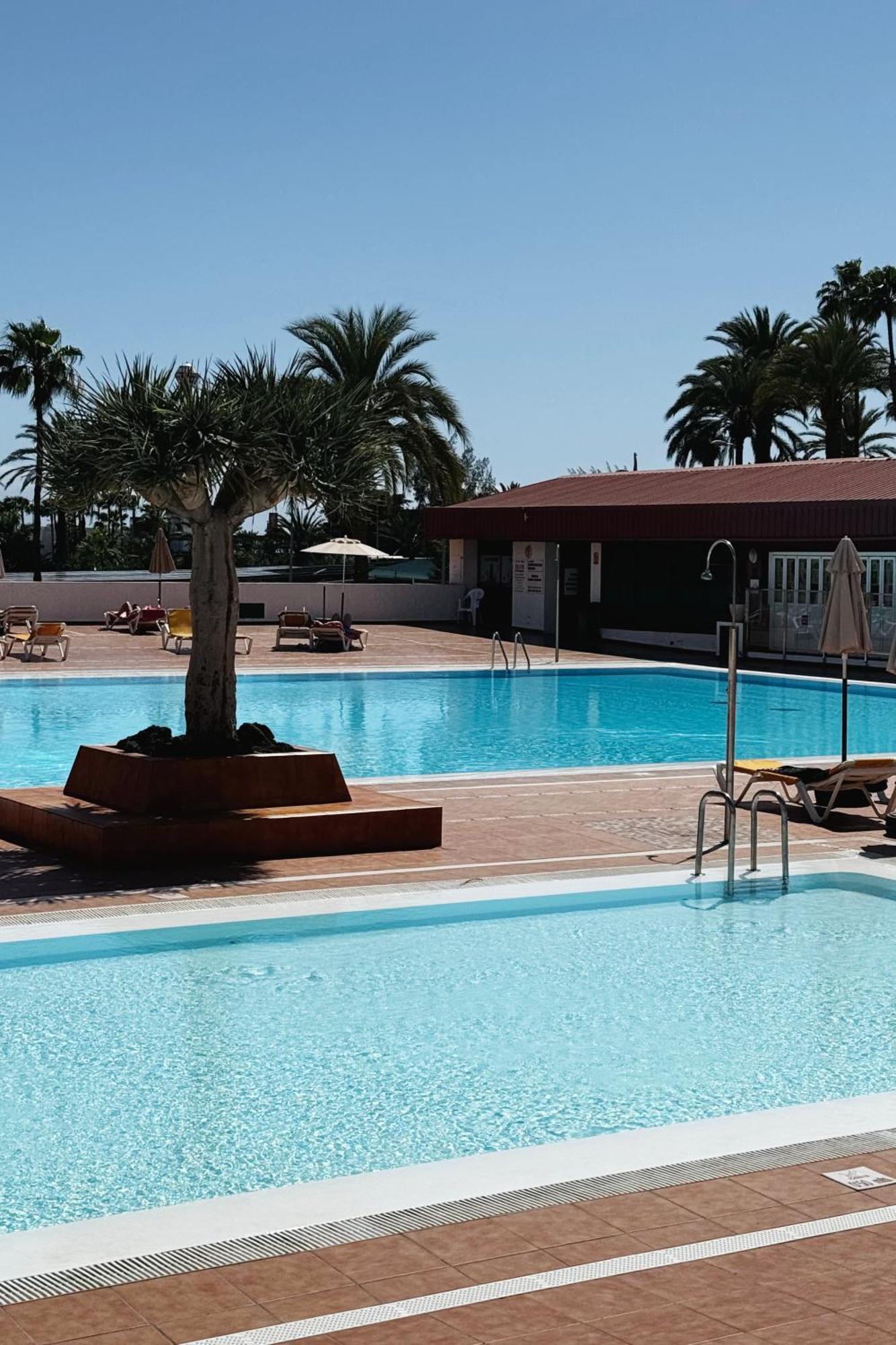 Lovely Apartment In San Agustin: Steps Away From Playa Del Ingles And Maspalomas! San Bartolomé Buitenkant foto